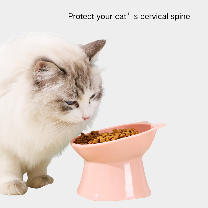 Elevated Cat Bowl for Neck Protection