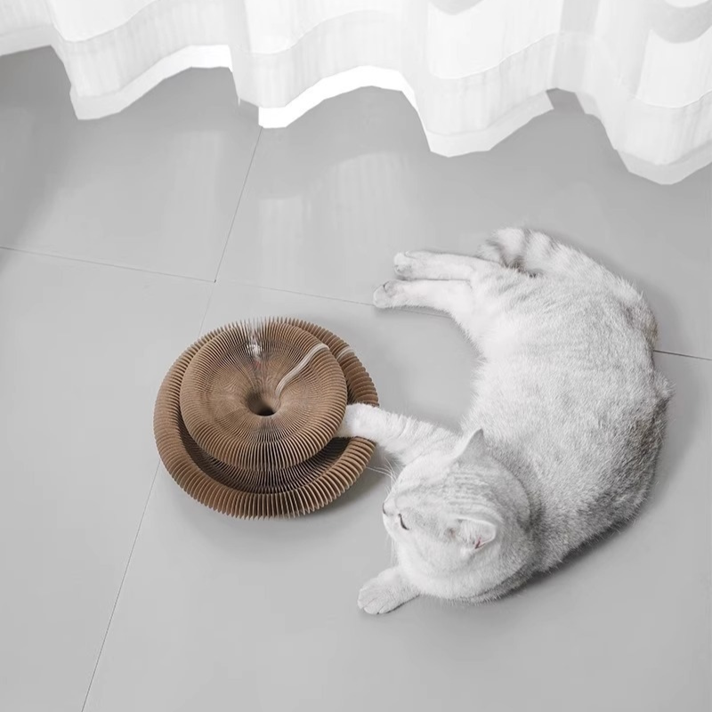 Magic Cat Scratcher Board