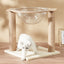 Modern Acrylic Cat Space Capsule with Sisal Scratching Posts wite cat