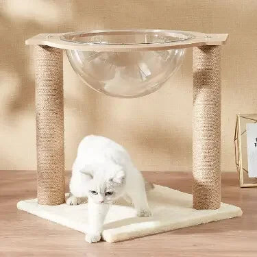 Modern Acrylic Cat Space Capsule with Sisal Scratching Posts