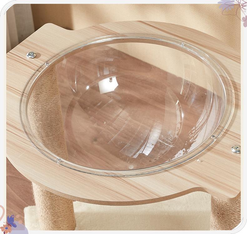 Acrylic  Space Capsule cat