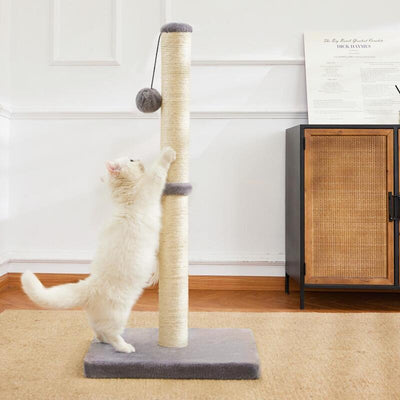 Grey cat scratching post