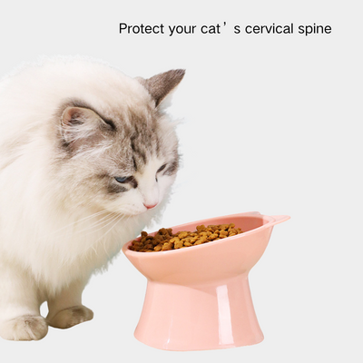 Elevated Cat Bowl for Neck Protection