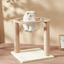 Modern Acrylic Cat Space Capsule with Sisal Scratching Posts