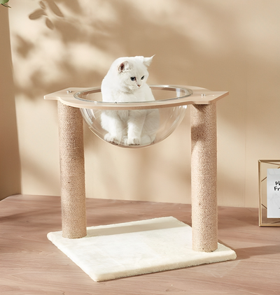 Modern Acrylic Cat Space Capsule with Sisal Scratching Posts