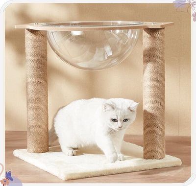  Acrylic Cat Space Capsule with Sisal Scratching Posts