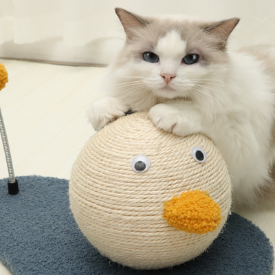 duck-shaped cat scratcher toy kitty